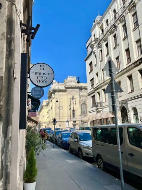 Classical, spacious one-bedroom apartment for SALE in downtown district V.