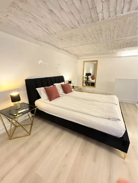 Elegantly Renovated, Stylish Loft Apartment with gallery for Sale in the Heart of Budapest