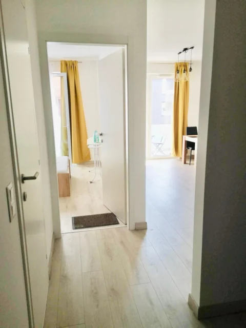 Newly Built One-bedroom Apartment for Rent in Corvin Grand