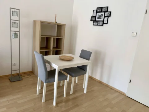 Spacious Apartment for Rent close to Corvin Promenade with gallery