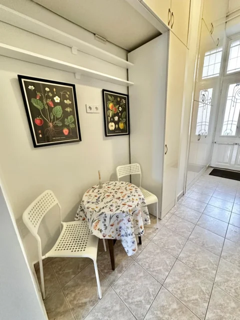 Cozy Apartment for Rent in Damjanich street with nice view