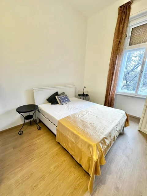 Cozy Apartment for Rent in Damjanich street with nice view