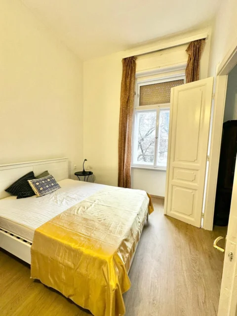 Cozy Apartment for Rent in Damjanich street with nice view