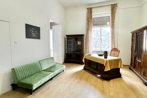 Cozy Apartment for Rent in Damjanich street with nice view