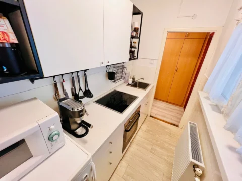 Renovated one-bedroom close to the Danube River