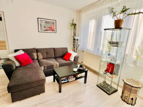 Renovated one-bedroom close to the Danube River