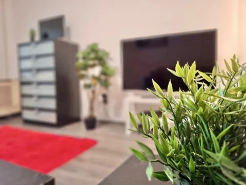 Cozy studio for sale in the popular district XIII.