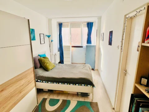 Renovated one-bedroom close to the Danube River