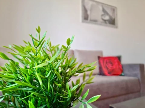 Cozy studio for sale in the popular district XIII.