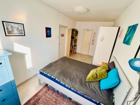 Renovated one-bedroom close to the Danube River