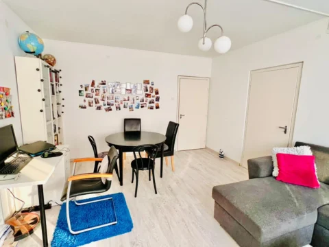 Renovated one-bedroom close to the Danube River