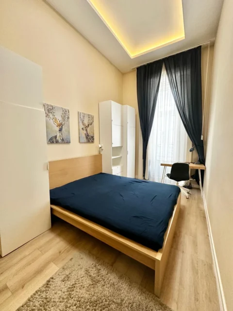 Stylish One-bedroom Apartment for Rent in Ráday street