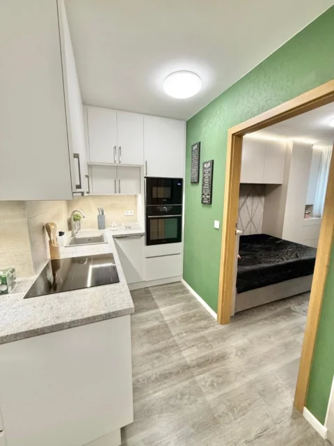 Newly Built One-bedroom Apartment for Rent in Kőfaragó street