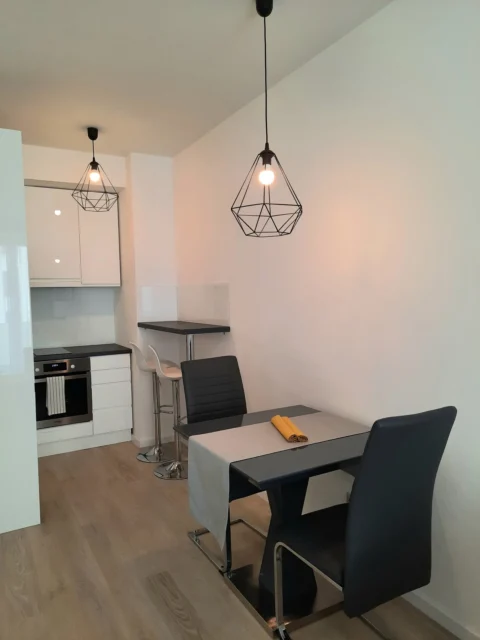 Newly Built One-bedroom Apartment for Rent in Corvin Grand with Balcony