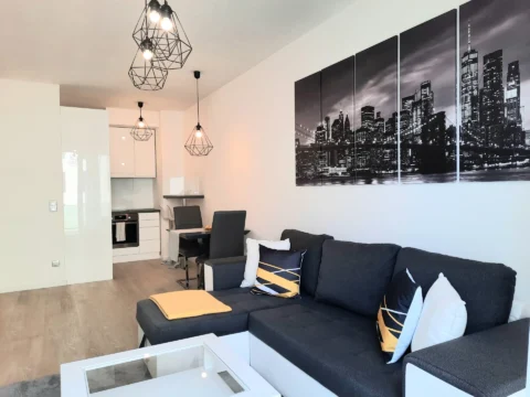 Newly Built One-bedroom Apartment for Rent in Corvin Grand with Balcony