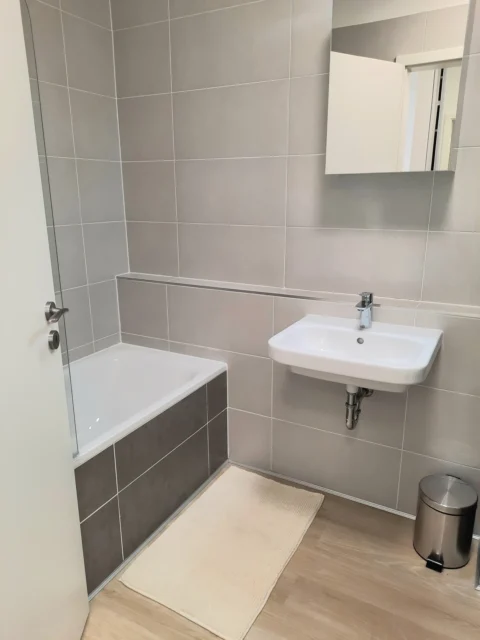 Newly Built One-bedroom Apartment for Rent in Corvin Grand with Balcony