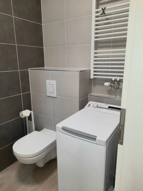 Newly Built One-bedroom Apartment for Rent in Corvin Grand with Balcony