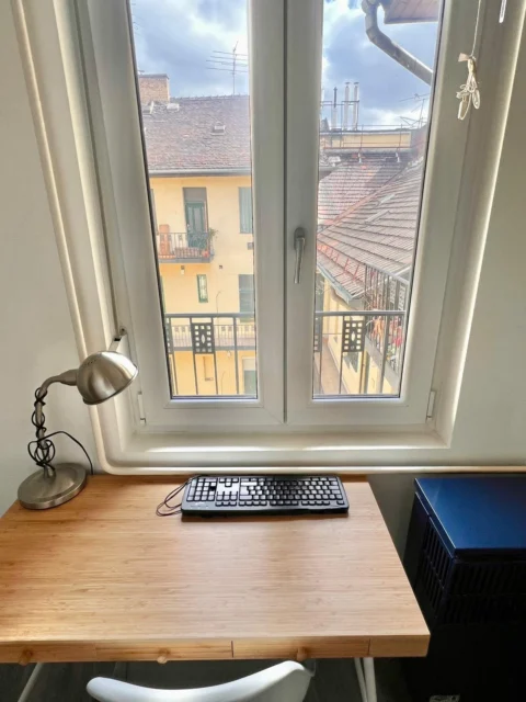 Renovated, very bright one-bedroom apartment for sale