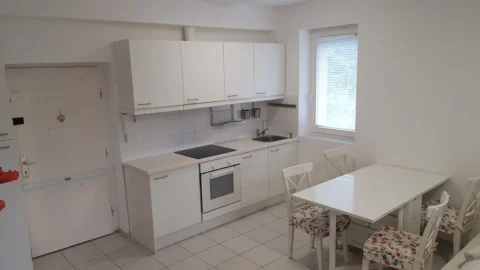 Quiet One-bedroom Apartment for Rent with Garden View and Balcony in Buda