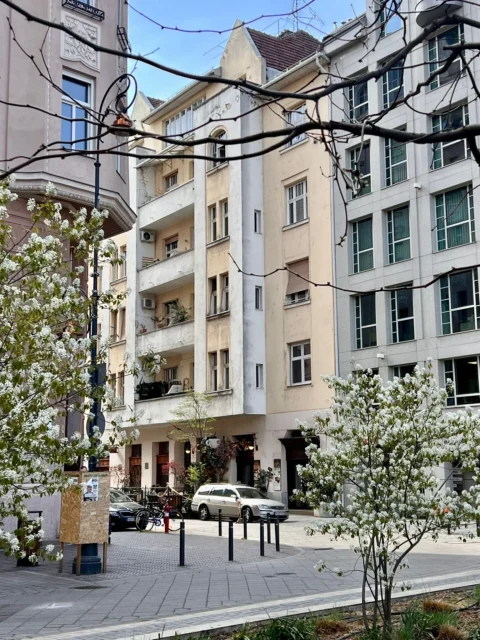 Renovated, very bright one-bedroom apartment for sale