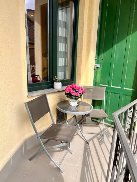 Renovated, very bright one-bedroom apartment for sale