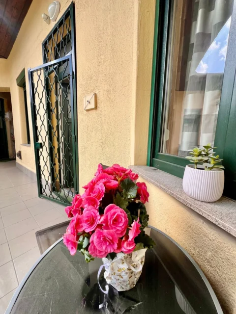 Renovated, very bright one-bedroom apartment for sale