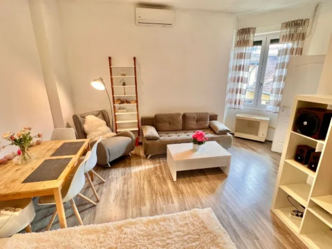 Renovated, very bright one-bedroom apartment for sale