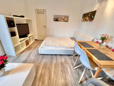 Renovated, very bright one-bedroom apartment for sale