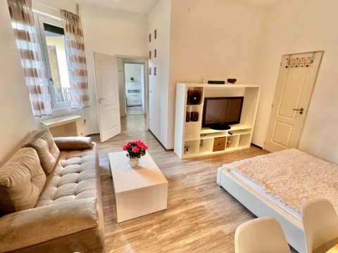 Renovated, very bright one-bedroom apartment for sale