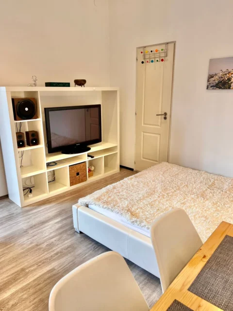 Renovated, very bright one-bedroom apartment for sale