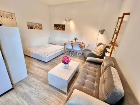 Renovated, very bright one-bedroom apartment for sale