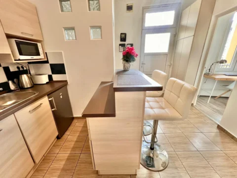 Renovated, very bright one-bedroom apartment for sale