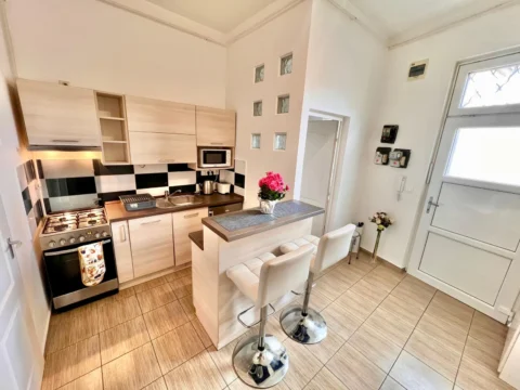 Renovated, very bright one-bedroom apartment for sale