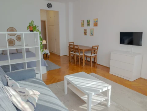 Renovated  Studio apartment for rent in Galamb street- close to Danube Bank