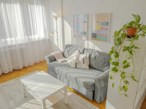 Renovated  Studio apartment for rent in Galamb street- close to Danube Bank