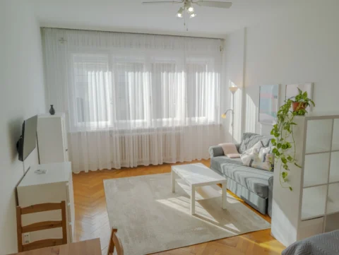 Renovated  Studio apartment for rent in Galamb street- close to Danube Bank