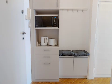 Renovated  Studio apartment for rent in Galamb street- close to Danube Bank