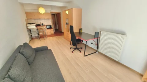 Nice Studio Apartment for Rent in Víg street