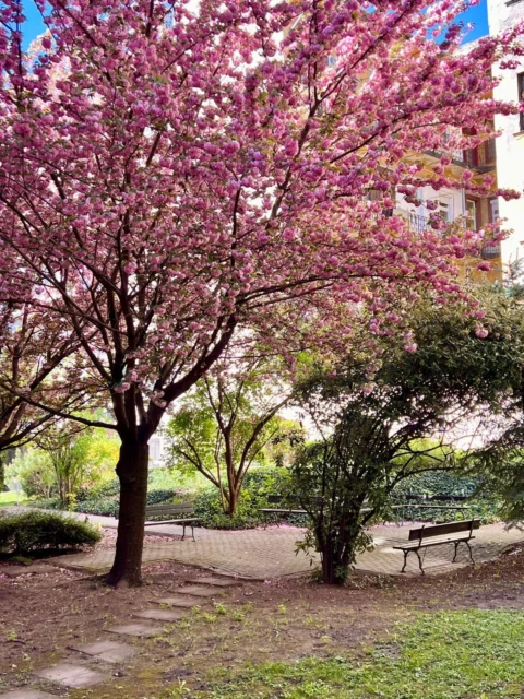 Street-Front Commercial Property for Sale in Ferencváros – Prime Investment Opportunity