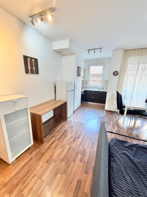 Newly Built One-bedroom Apartment for Rent near Corvin Promeande with Balcony in Nagy Templom street Premier House