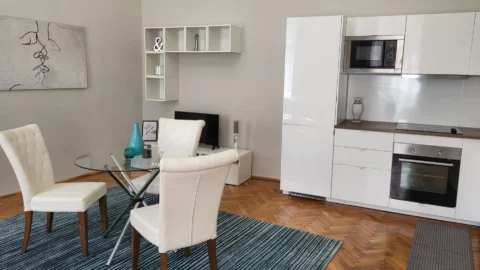 Renovated 2+1 Room Apartment for Rent on József blwrd