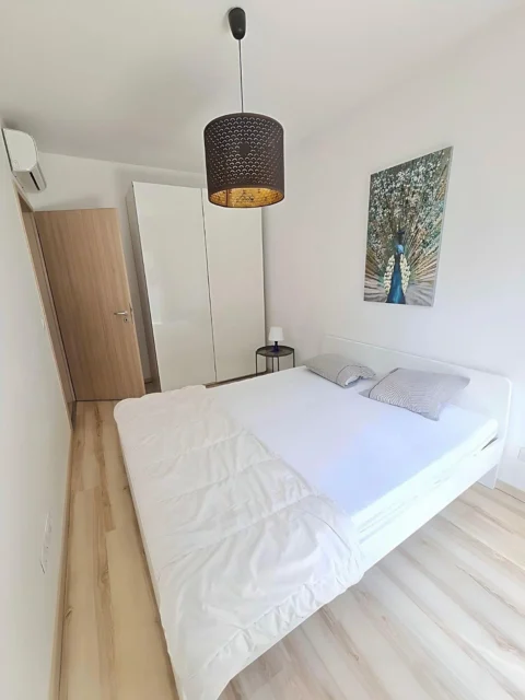 Newly Built One-bedroom Apartment for Rent in Corvin Park residence with 2 Balcony