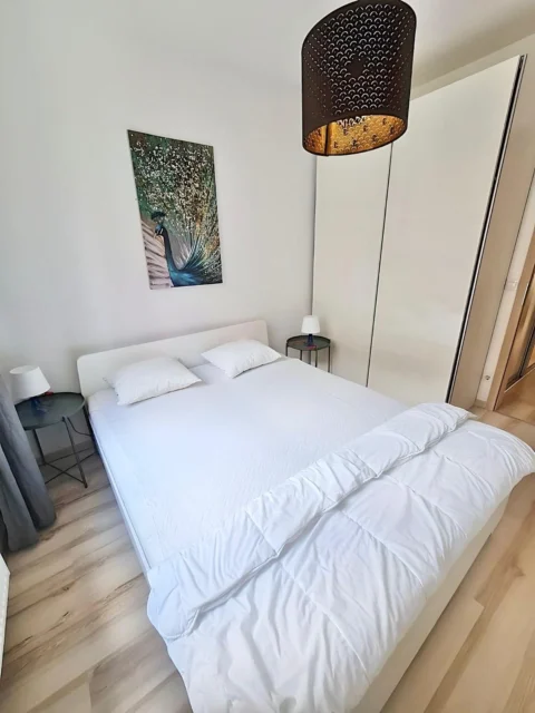 Newly Built One-bedroom Apartment for Rent in Corvin Park residence with 2 Balcony