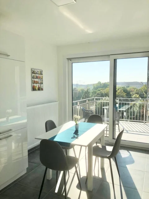Newly Built PANORAMIC One-bedroom flat for Rent in Tömő street-  close to CORVIN and SEMMELWES