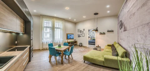 Renovated 2-bedroom Apartment for Rent in Katona József street|