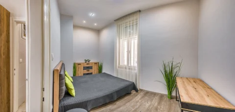 Renovated 2-bedroom Apartment for Rent in Katona József street|