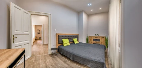 Renovated 2-bedroom Apartment for Rent in Katona József street|