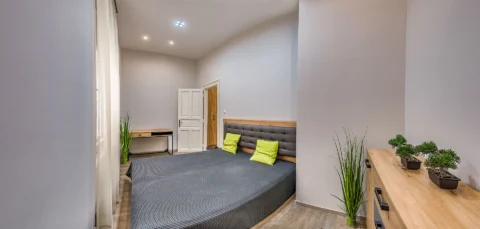Renovated 2-bedroom Apartment for Rent in Katona József street|