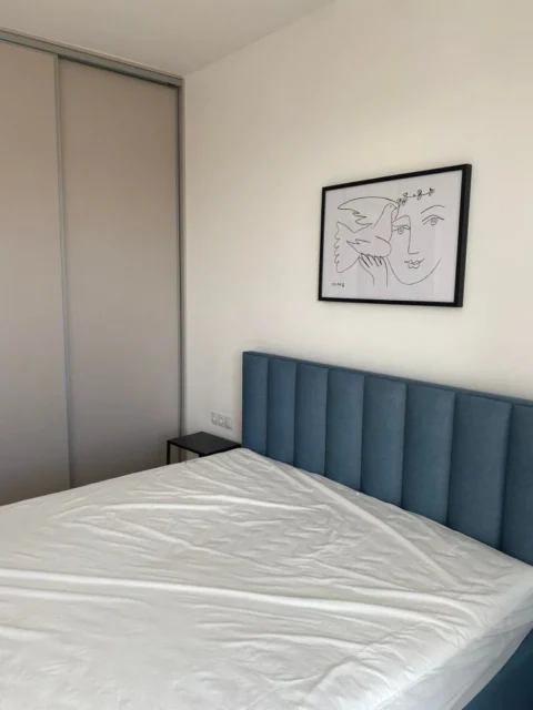 Newly Built One-bedroom Apartment for Rent in Taksony street