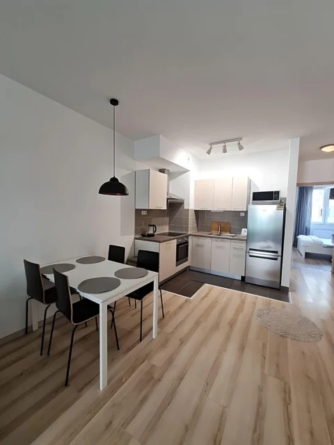 Newly Built 2-bedroom Apartment for Rent in Corvin Park residence with 2 Balcony